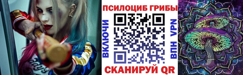 Псилоцибиновые грибы ЛСД  Купить закладки  Чадан 